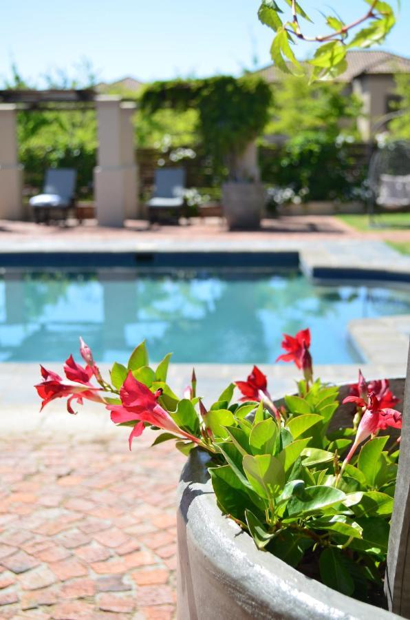 La Bella Vita Studios Paarl Kültér fotó