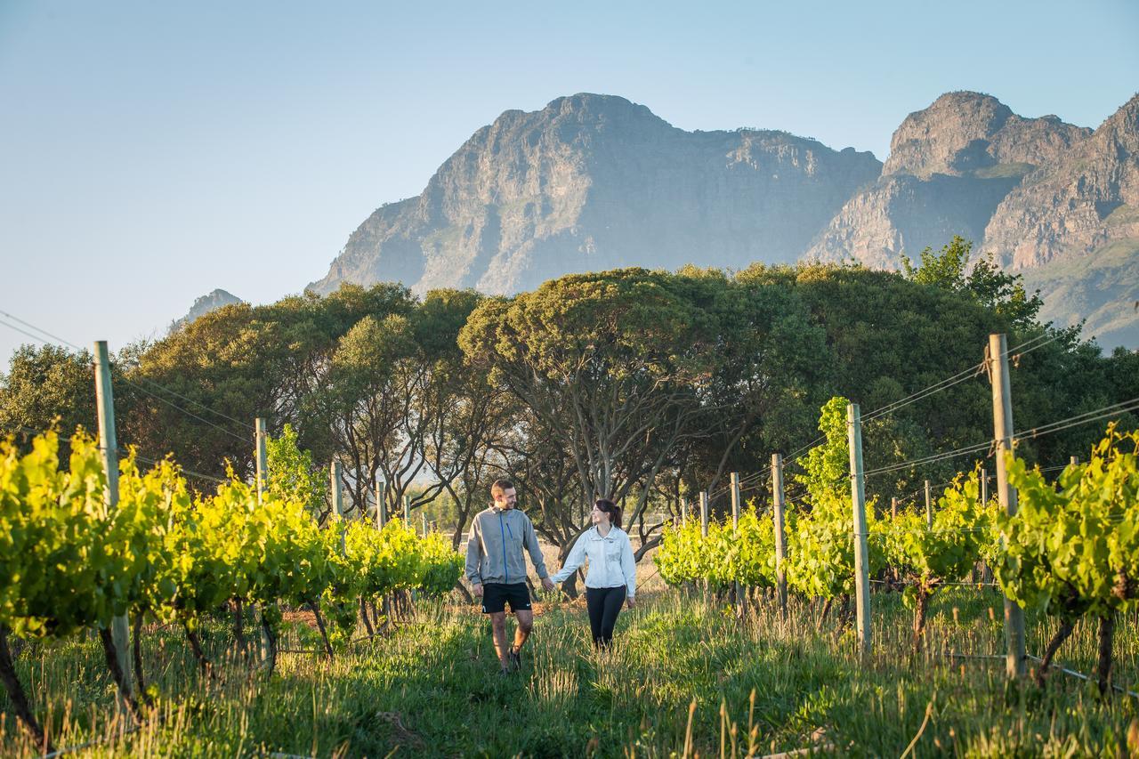La Bella Vita Studios Paarl Kültér fotó